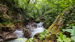 Bellezza Italia: in azione per il Fiume Nera