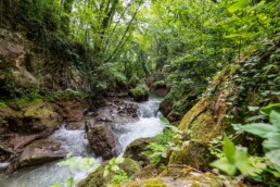 Bellezza Italia: in azione per il Fiume Nera