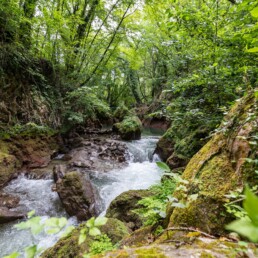 Bellezza Italia: in azione per il Fiume Nera