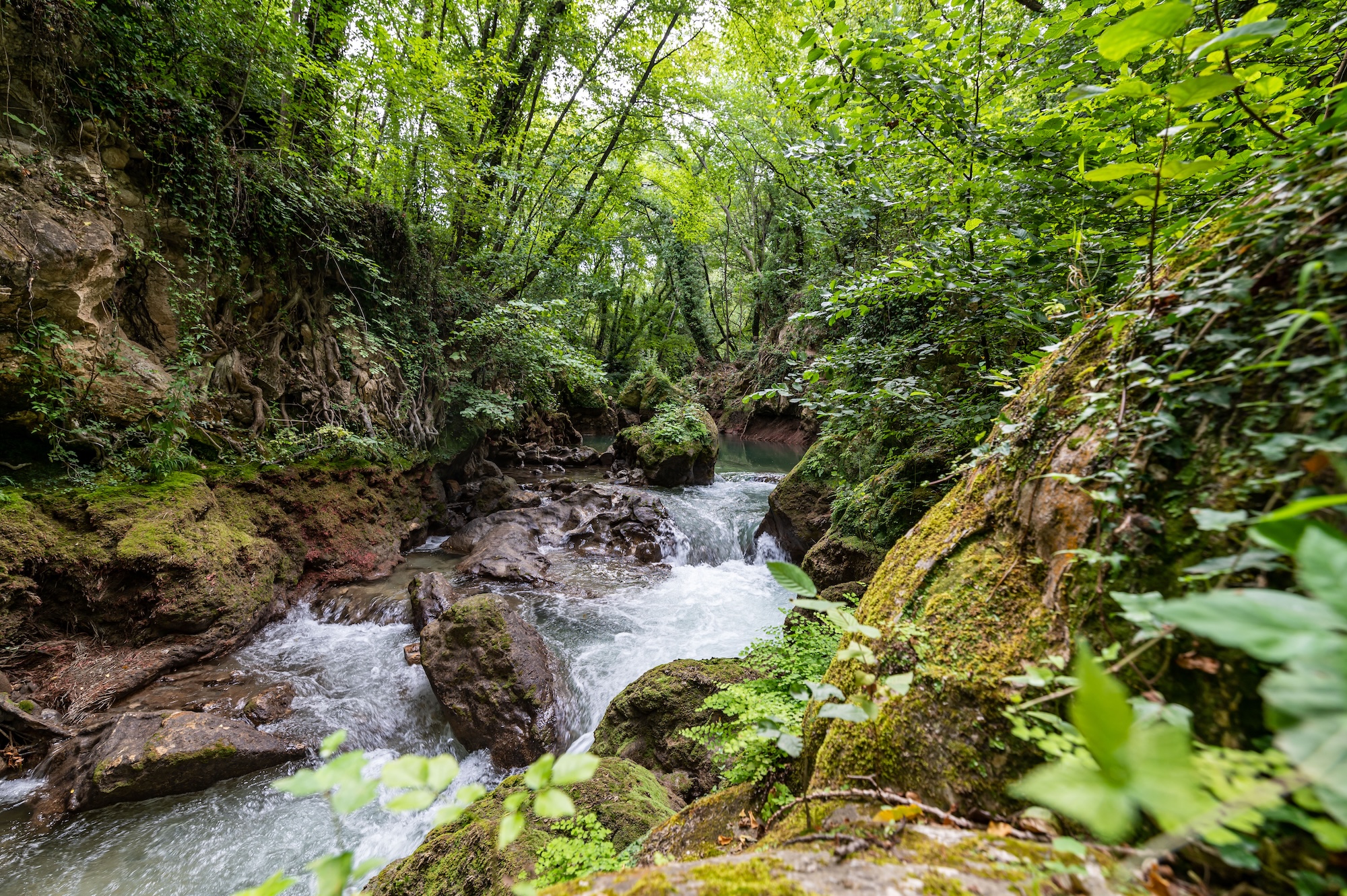 Bellezza Italia: in azione per il Fiume Nera