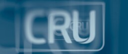 Consulta Presidenti CRU