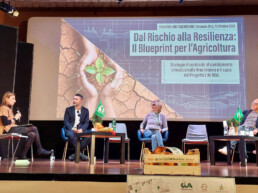 Territori che rigenerano