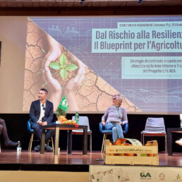 Territori che rigenerano